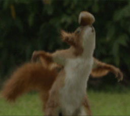 Carlsberg Sport Squirrel Commercials